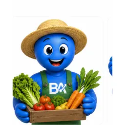 Agriculture / Maraîchage